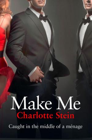 Cover of the book Make Me by Jason LaPier
