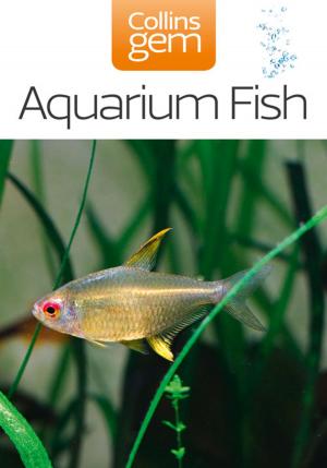 Cover of the book Aquarium Fish (Collins Gem) by Dave Toycen