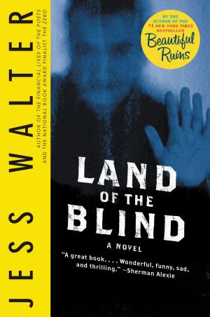 Cover of the book Land of the Blind by Katherine Hall Page