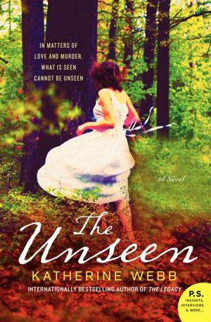 Cover of the book The Unseen by Jamey Bradbury