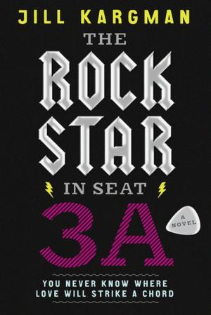 Cover of the book The Rock Star in Seat 3A by Diane Mott Davidson