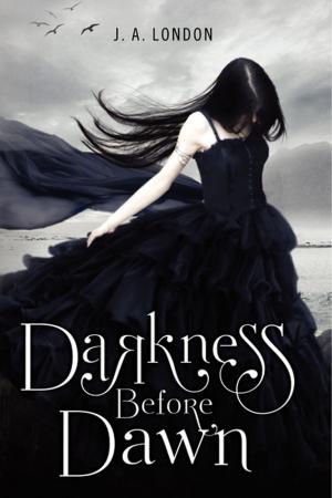 Cover of the book Darkness Before Dawn by Kiera Cass