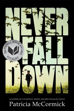 Cover of the book Never Fall Down by Teri Brown