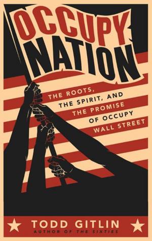 bigCover of the book Occupy Nation by 