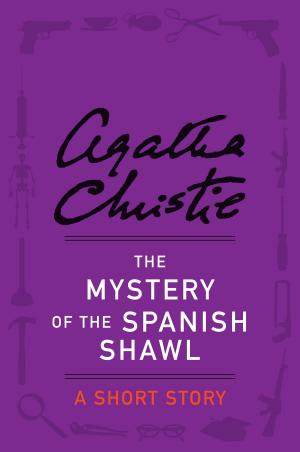 Cover of The Mystery of the Spanish Shawl