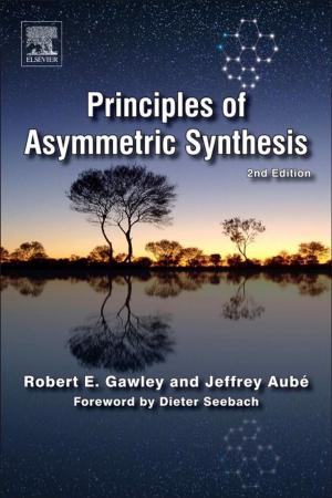 Cover of the book Principles of Asymmetric Synthesis by Amanat Chaudhry