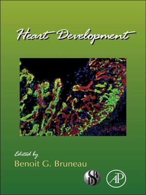 Cover of the book Heart Development by Peter Snyder, Linda C. Mayes, William E. Smith