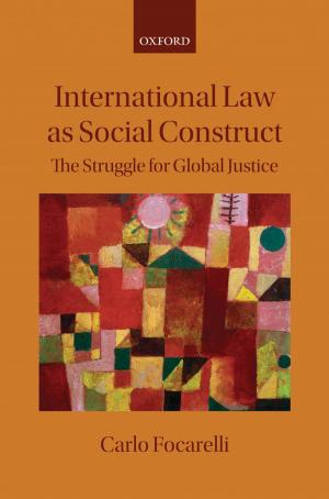 Cover of the book International Law as Social Construct by Peter Turner, Reza Mohtashami, Peter Turner, Reza Mohtashami