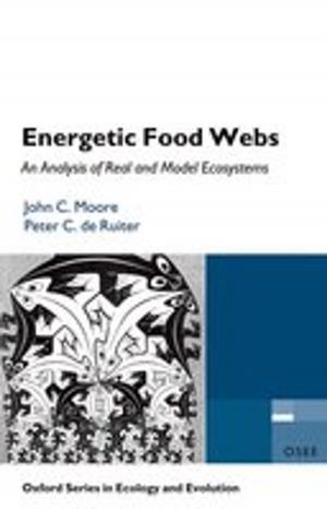 Cover of the book Energetic Food Webs by David Cottington