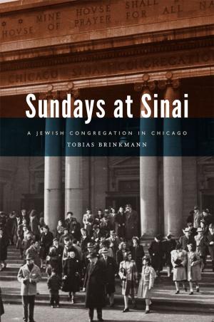 Cover of the book Sundays at Sinai by Barbara J. King