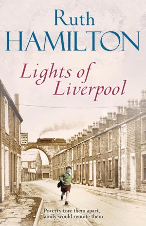 bigCover of the book Lights of Liverpool by 