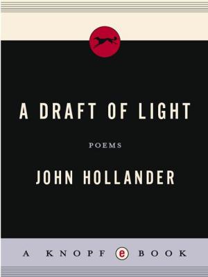 Cover of the book A Draft of Light by Dan Hofstadter
