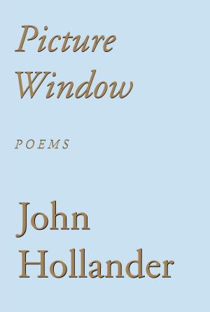 Book cover of Picture Window