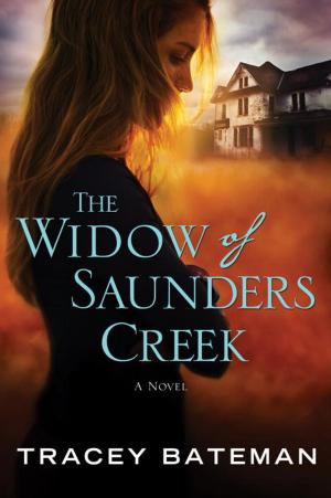 Cover of the book The Widow of Saunders Creek by Kay Coles James