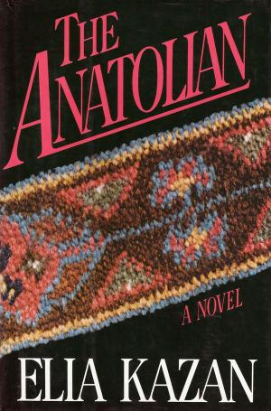 Cover of the book THE ANATOLIAN by Anita Brookner