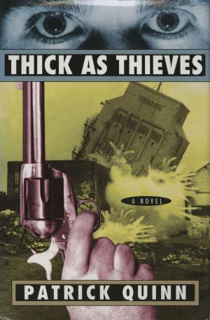 Cover of the book Thick As Thieves by Richard Prosch