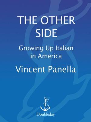Cover of the book The Other Side: Growing up Italian in America by Steve Yarbrough