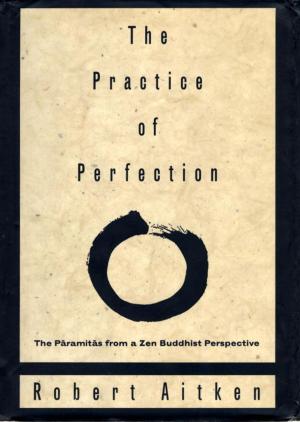 Book cover of The Practice of Perfection