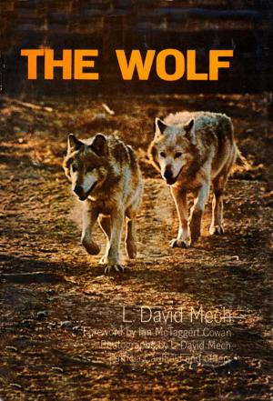 Cover of the book Wolf by C.W. Ceram