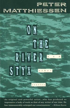 Cover of the book On the River Styx by Elizabeth Bowen