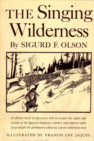 Cover of the book Singing Wilderness by Robert Karen, Ph.D.