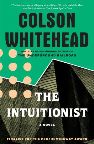 Cover of the book The Intuitionist by Deborah Larsen