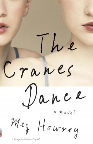 Cover of the book The Cranes Dance by Liza Dalby