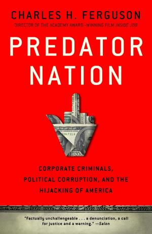 Cover of the book Predator Nation by Fernando Gomez de Avila