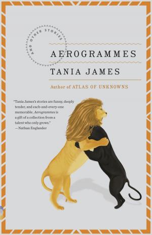 Book cover of Aerogrammes