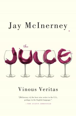 Cover of the book The Juice by Betsy Streeter