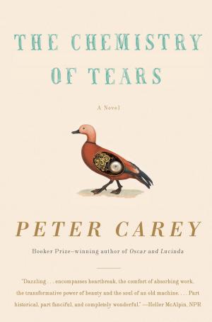 Cover of the book The Chemistry of Tears by Avi Steinberg