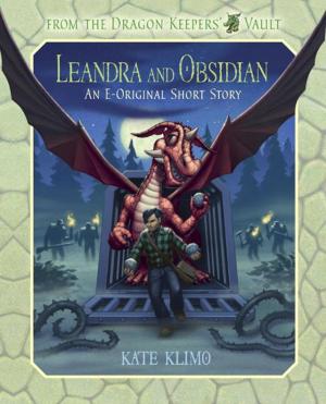 Book cover of From the Dragon Keepers' Vault: Leandra and Obsidian