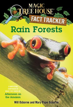 Book cover of Rain Forests
