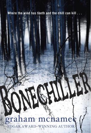 Cover of the book Bonechiller by Karen Katz