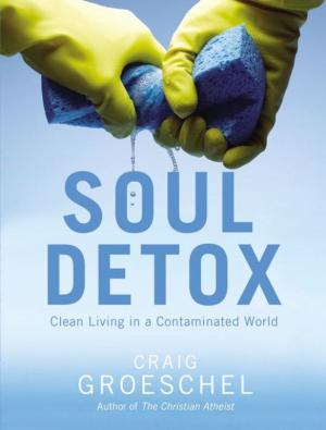 Cover of the book Soul Detox by Michelle Singletary