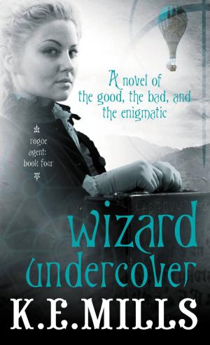 Cover of the book Wizard Undercover by Tom Holt