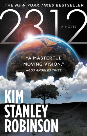 Cover of the book 2312 by Brian McClellan