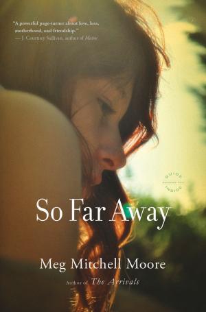 Cover of the book So Far Away by James Patterson, Ned Rust