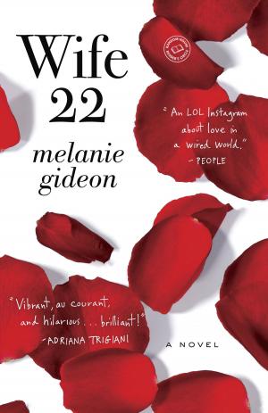 Cover of the book Wife 22 by Mary Ann Mitchell