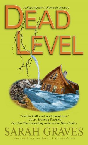 Cover of the book Dead Level by Katharine Kerr