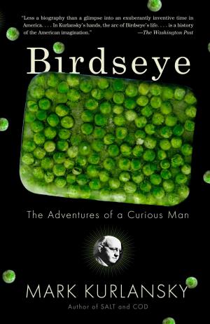 Cover of the book Birdseye by Sandra Cisneros