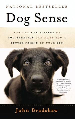 Cover of the book Dog Sense by Kristen Otte