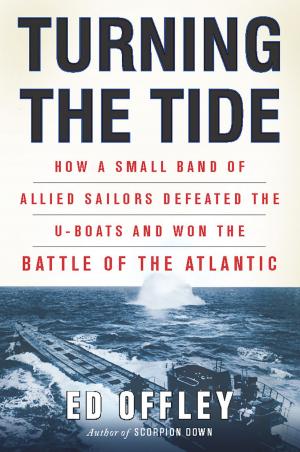 Cover of the book Turning the Tide by David Pietrusza