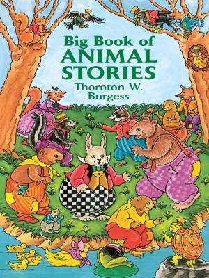 Cover of the book Big Book of Animal Stories by Leonard K. Nash