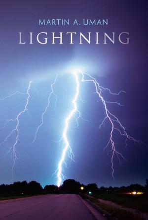 Cover of the book Lightning by William Tyler Olcott