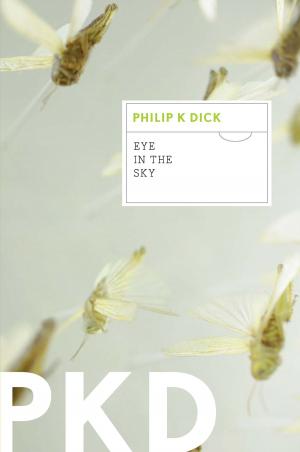 Cover of the book Eye in the Sky by Philip K. Dick