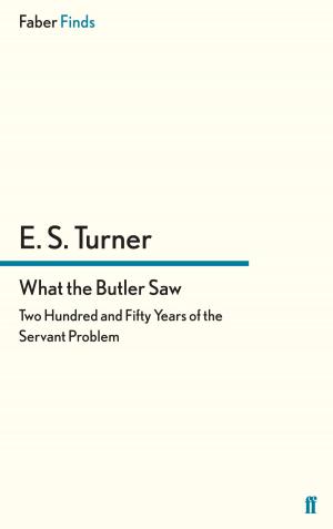 Book cover of What the Butler Saw
