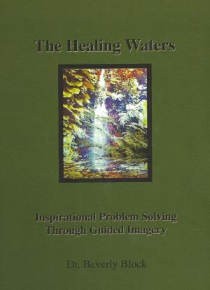 Cover of the book The Healing Waters by Andrea Frausin
