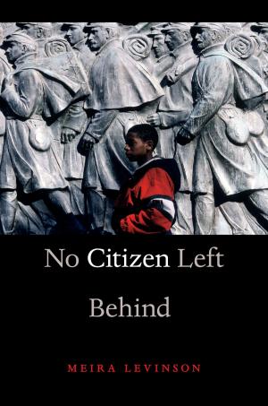 Cover of the book No Citizen Left Behind by Heinrich Päs