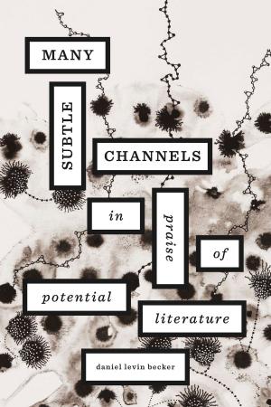 Cover of the book Many Subtle Channels by Jeremy Waldron